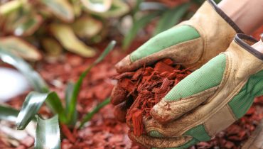 Lopez Tree Service Mulching