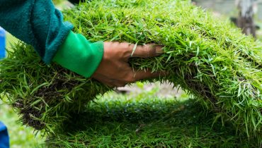 Lopez Tree Service installing sod