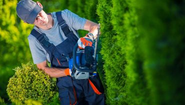 Lopez Tree Service Trimming Hedge