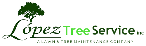 Lopez Tree Service Inc.