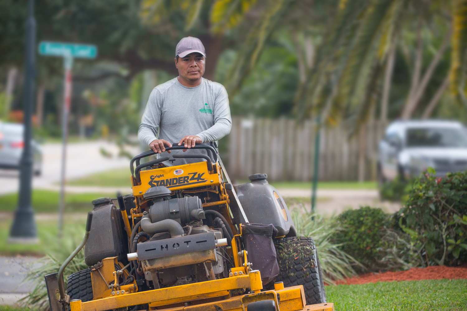 Lopez Tree Service